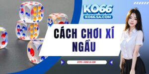 Cách chơi xí ngầu