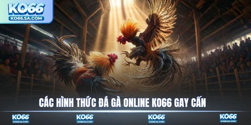Các hình thức chọi gà online gay cấn
