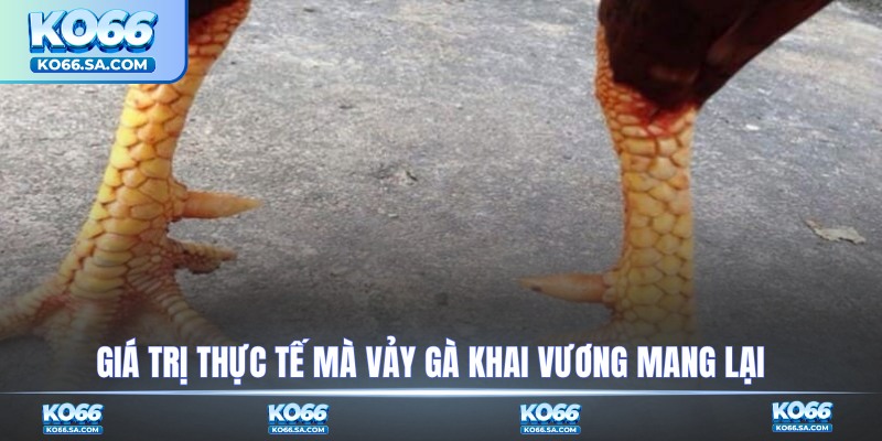 Giá trị thực tế mà vảy gà Khai Vương mang lại