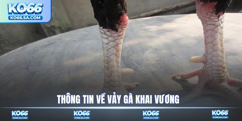 Thông tin về vảy gà Khai Vương