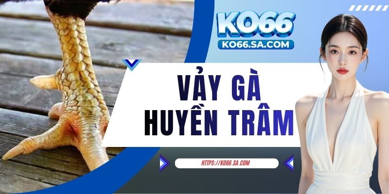 Vảy Gà Huyền Trâm